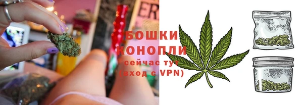 сатива Володарск