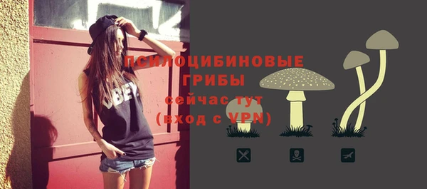 MDMA Premium VHQ Пролетарск