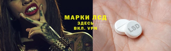 ГАЛЛЮЦИНОГЕННЫЕ ГРИБЫ Верхний Тагил