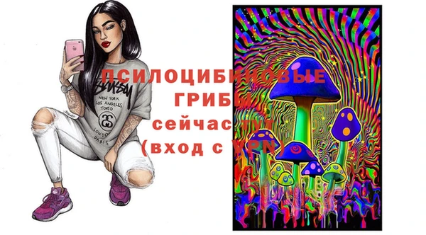 ГАЛЛЮЦИНОГЕННЫЕ ГРИБЫ Верхний Тагил