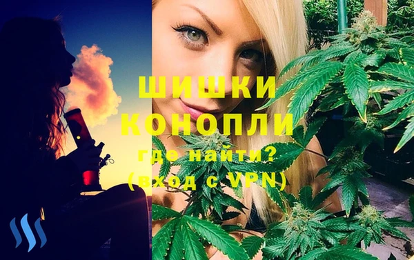 соль ск Волосово
